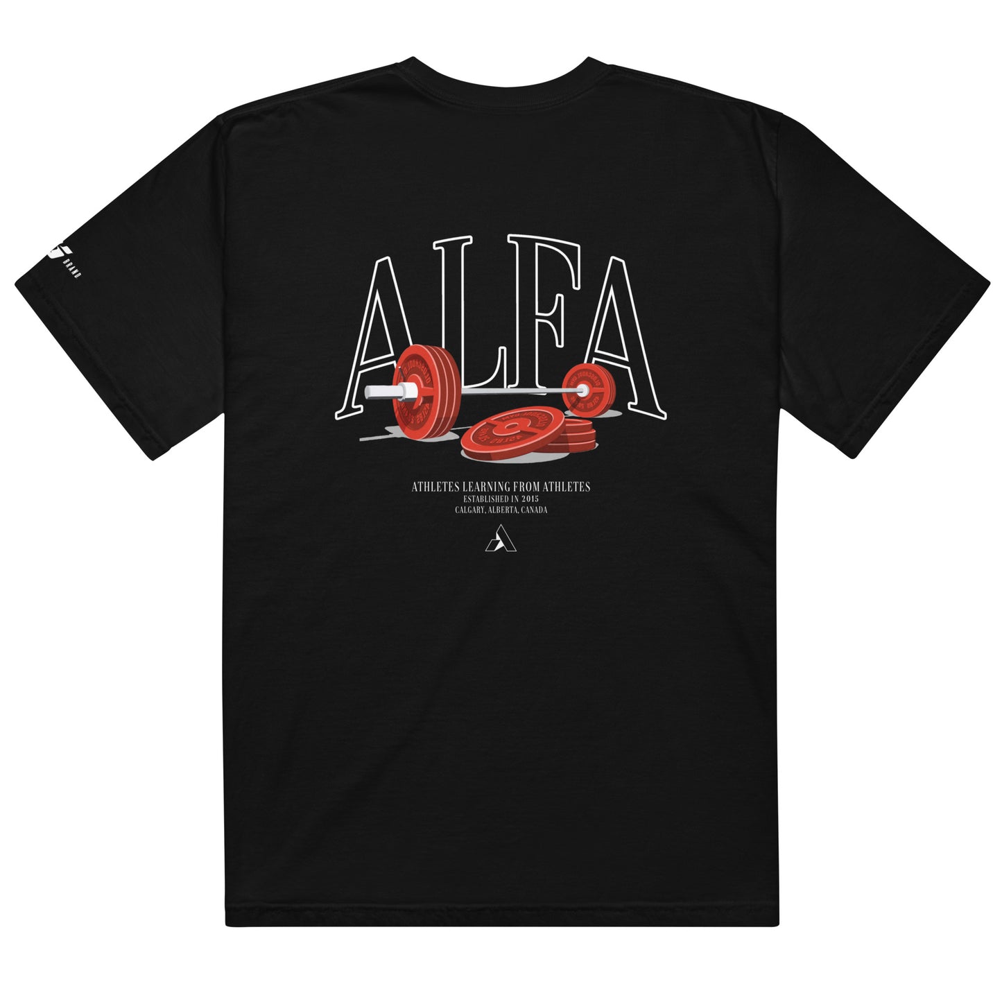 ALFA x The KJ Brand  "+5 STR" Tee